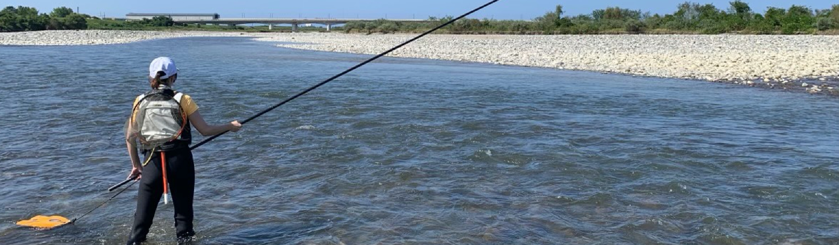 鮎の友釣りイメージ